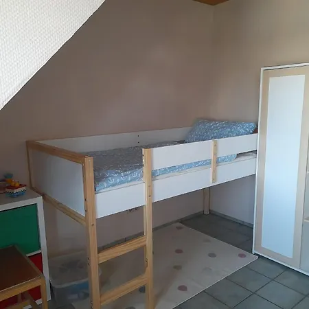 Eichhoernchen,