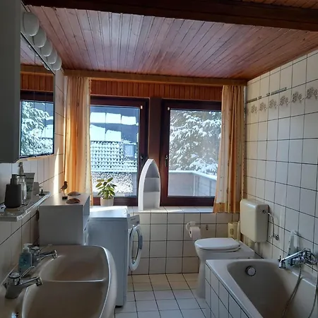 Eichhoernchen, Schneverdingen